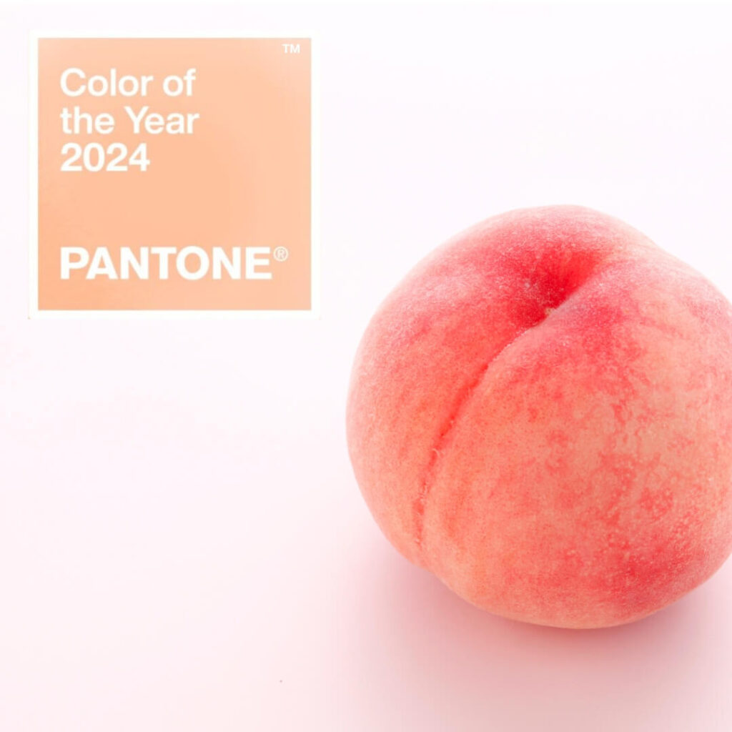 Pantone color 024